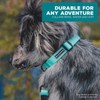 Wilderdog Waterproof Dog Collar - Repels Water & Dirt -