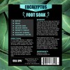Cell Spa Detox Foot Soak Bath Premium 16 Ounce Eucalyptus