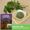 Survival Garden Seeds - Alfalfa Seed for Planting - 5