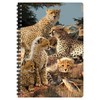 3D LiveLife A5 Notebook - Cheetah Clan from Deluxebase. 80