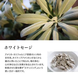 Natural 100% Essential Oil (10ml, White Sage)
