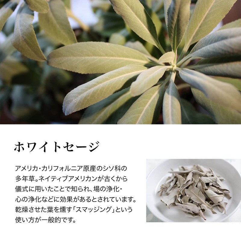 Natural 100% Essential Oil (10ml, White Sage)