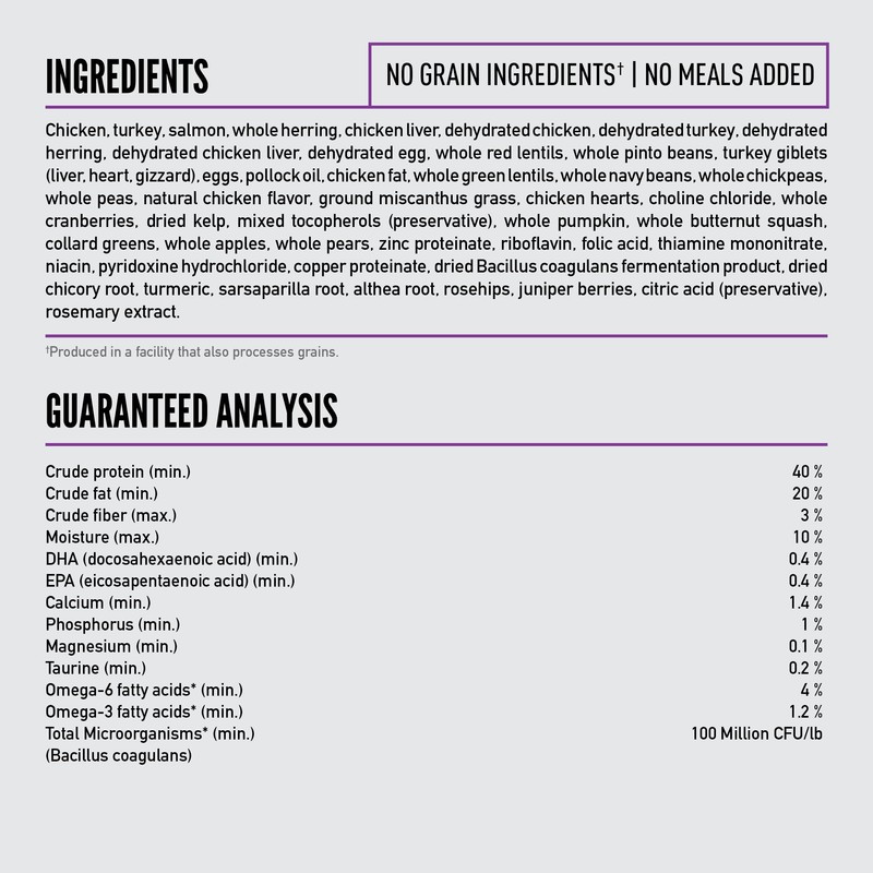 ORIJEN Grain Free High Protein Premium Dry Cat Food Kitten