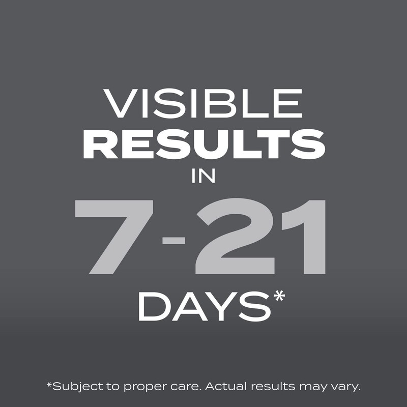 Scotts Turf Builder Grass Seed Northeast Mix - Grass Seed