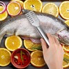 4 Piece Fish Scaler Remover Brush Set - Stainless Steel