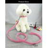 Newtensina Cute Diamante Puppy Collar and Leash Set Bling Microfiber