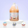 Ginger Lily Farms Botanicals 3-in-1 Shampoo, Conditioner & Body Wash,