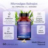 SEREMONY Alcalino Suplemento con Minerales Esenciales