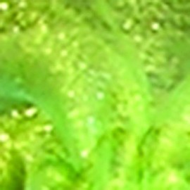 The Ribbon People Club Pack of 36 Green Organza Tie Gift Bags 5.5" x 8"