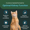 VetriScience Renal Essentials Pro Liquid - Kidney Functions & Maintenance