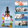 Lymphatic Drainage Support Drops – 11-in-1 Herbal Extract Formula with