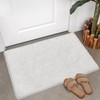 ZJYeRug Small Shaggy Area Rug,2x3 Utral Soft Rug for Living