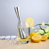 Remize® Cocktail Pestle Stainless Steel Ice Crusher Lemon Masher
