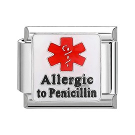 M&S Birthday Daughter Evil Eye Mother Sister Swan Bear Silver Coffee Horse Elephant Gold 9mm Italian Link Charm Compatible With Nomination Bracelet (Allergic To Penicillin Medical ID Tag)