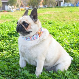 Metal Buckle Dog Collar, Durable Adjustable Dog Collar Soft for Small Medium Large Dogs (L(15-23in), Flower2)