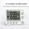 Bjerg Instruments Dual Digital Kitchen Timer – Count Up &