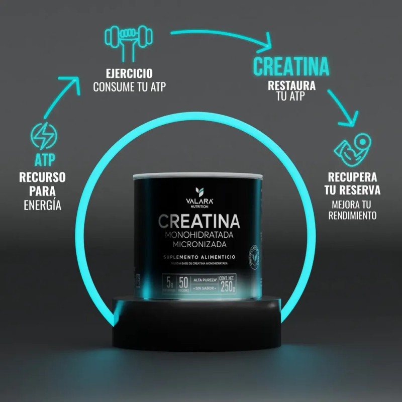 Creatina Monohidratada Micronizada en Polvo Valara | Alta Pureza Certificada