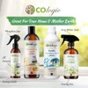 ECOLogic Eucalyptus Mint Room Air Freshener 125ml