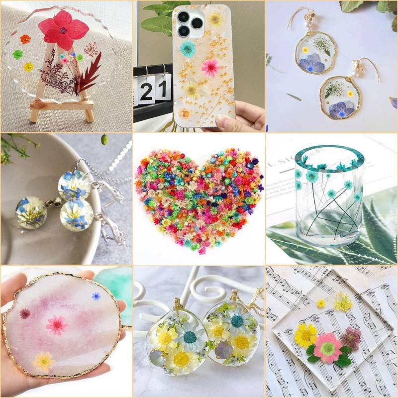 Neiang Dried Flowers for Resin Use, 400 Pieces Pressed Flowers,