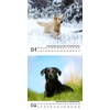 Dog Magic Retriever Calendar for 2025 Format 10 cm x