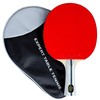 Palio Expert 3.0 Table Tennis Bat & Case | ITTF