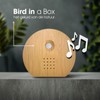 Birds Chirping Sound Box | Motion Sensor Modern Nature Sound
