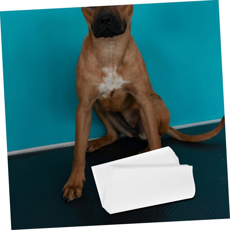 CIYODO 50Pcs Disposable Dog Urine Pads Quick Absorbent Pee Sheets