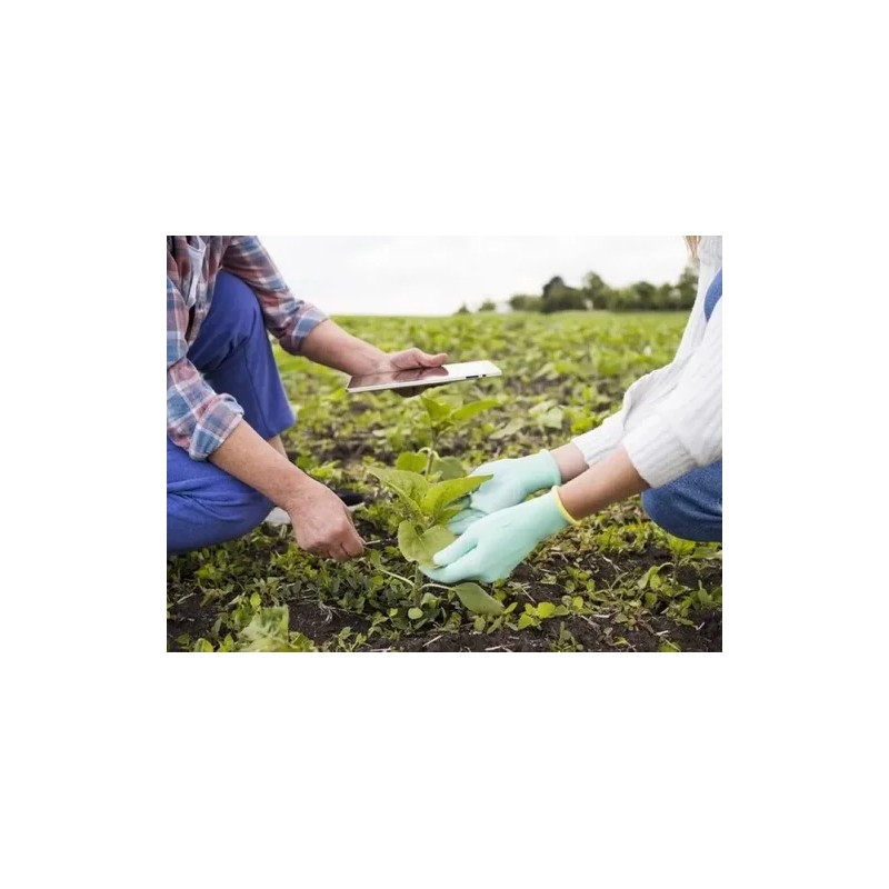 Basfoliar Amino Sl Aminoácidos Con Npk Compo Expert 1 L