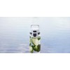 Sig 50442 My Planet Anthracite Outdoor Water Bottle, Total Clear