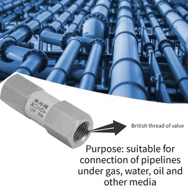 Hexagonal check valve 1/4 inch, disposable check valve made of 304 stainless steel, pipe pipe connector tool, various sizes, 1/8 inch, 1/4 inch, 3/8 inch, 1/2 inch, BSPP (1/4 inch)