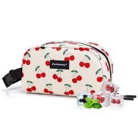 Cerbonny Small Cooler Bag Freezable Lunch Bag for Work School Travel,Small Insulated Bag for Kids/Adults