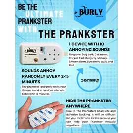 Hidden Noise Maker Gag Prank - 10 Different Sounds - Ringtone, Dog, Cat, Cricket, Fart, Baby Cry, Smoke Alarm, Monkey, Screaming Goat, Bird (1 Pack)