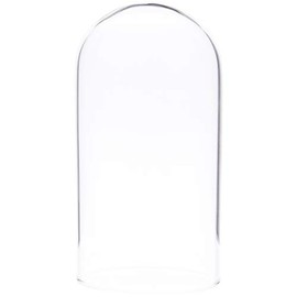 Plymor 2" x 4" Mini Glass Display Dome Cloche (no Base)