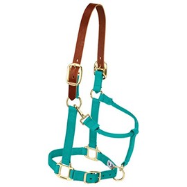 Weaver Leather Nylon Adjustable Breakaway Horse Halter, Yearling, Emerald Green