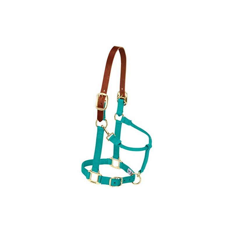 Weaver Leather Nylon Adjustable Breakaway Horse Halter, Yearling, Emerald Green