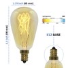 Bunnit Bulbs Bulb for Edison Wax Warmer, 40w, ST45, Retro