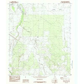YellowMaps Pecan Station TX topo map, 1:24000 Scale, 7.5 X 7.5 Minute, Historical, 1984, Updated 1984, 27 x 23.1 in - Paper