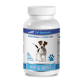 PET SUPPLEMENTS Dog Joint Supplement chewable - Healthy Hip and Joint - for Dogs - Powerful Formula - CHEWABLE - Dog glucosamine Treats - 1 Bottle (120 Tablets)