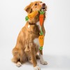 Smart Garden ZOON Plush Fun Tugga Carrots tug of war