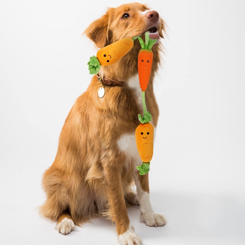Smart Garden ZOON Plush Fun Tugga Carrots tug of war