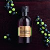 The Body Shop Spa of the World Balkan Juniper Body
