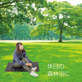 fesley Leisure Sheet, Compact, Mat, Thin, Lightweight, Travel Goods, Foldable, Storage Bag, Black, Nylon, 27.6 x 43.3 inches (70 x 110 cm)