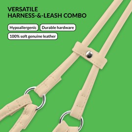 CollarDirect Rolled Leather Dog Harness Small Puppy Step-in Leash Set for Walking Pink Red White Blue Green Black Purple Beige Brown Yellow (White, S)