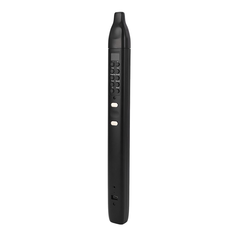 Electric Blowpipe 10 Timbre Mini Portable Rechargeable Detachable Digital Wind