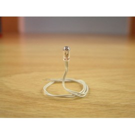 Expo 10pk Grain of Wheat 12v Clear Bulbs # A25030