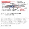 DAIWA Minnow Shoreline Shiner Z Vertis R140F-LI LI Max Laser