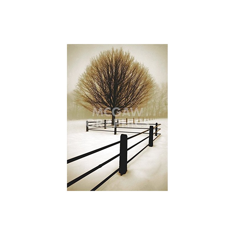 Solitude - Poster by David Lorenz Winston (11 x 14)