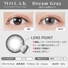 【メーカー公式店舗】[ 宮脇咲良プロデュース＆イメージモデルカラコン ] MOLAK(モラク) 1DAY 10枚入り ドリームグレー [0.00]