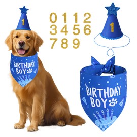 Agroon Dog Birthday Party Supplies, Blue Dog Birthday Set with Hat Bandana Numbers for Large Medium Boy Pets Puppy