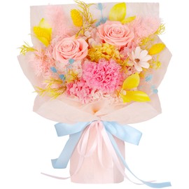 Preserved Flowers for Delivery – Real Pink Eternal Roses and Carnation in Gift Box, Long-Lasting Forever Flowers Bouquet, Birthday Gifts for Women, Mother, Wife, Her